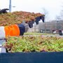 Daktuin element ECO (kant en klaar) bushokje